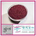 Chinese Traditional Medicine red yeast rice p.e.